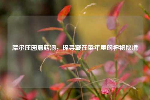 摩尔庄园蘑菇洞,探寻藏在童年里的神秘秘境