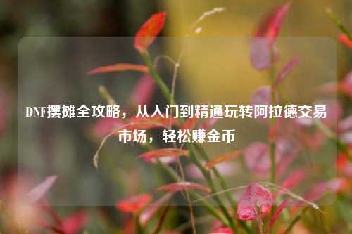 DNF摆摊全攻略,从入门到精通玩转阿拉德交易市场,轻松赚金币