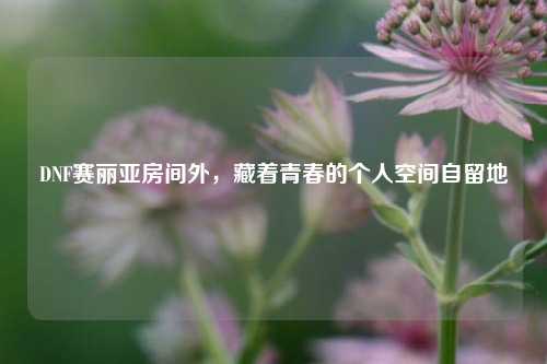 DNF赛丽亚房间外,藏着青春的个人空间自留地