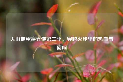 大山猫蛋疼五侠第二季,穿越火线里的热血与回响
