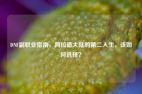 DNF副职业指南,阿拉德大陆的第二人生,该如何选择?