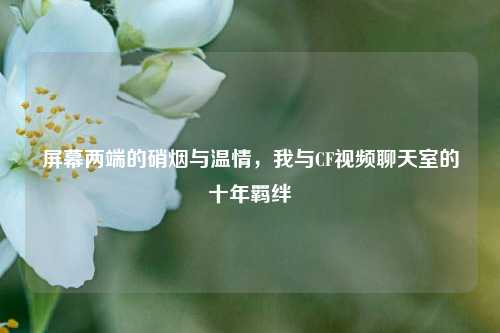 屏幕两端的硝烟与温情,我与CF视频聊天室的十年羁绊