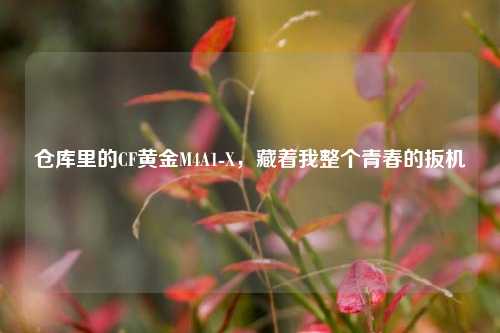 仓库里的CF黄金M4A1-X,藏着我整个青春的扳机