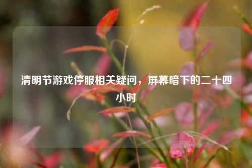 清明节游戏停服相关疑问,屏幕暗下的二十四小时