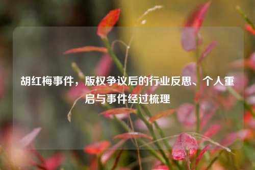 胡红梅事件,版权争议后的行业反思、个人重启与事件经过梳理