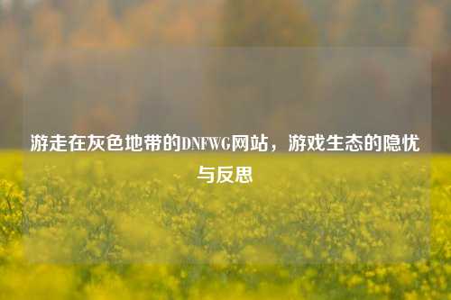 游走在灰色地带的DNFWG网站,游戏生态的隐忧与反思