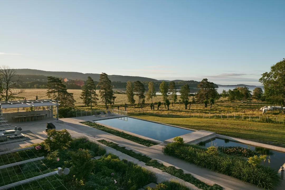 cf绿色联盟,cf排位怎么分区