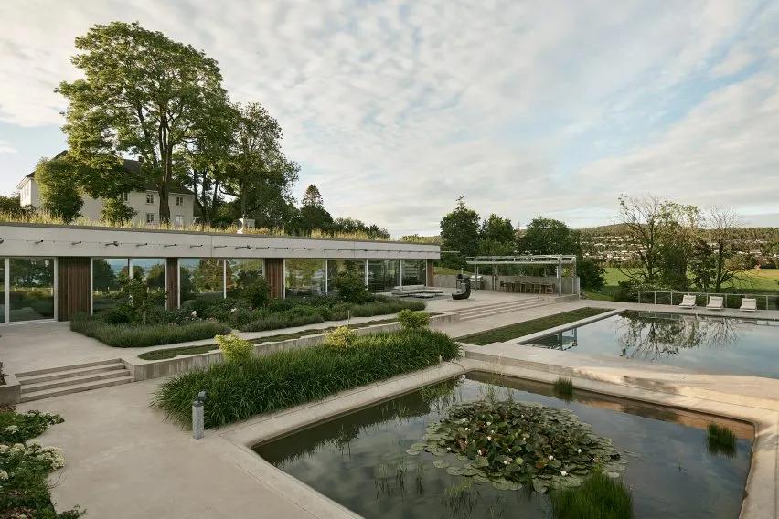 cf绿色联盟（cf绿巨人是什么时候诞生的）