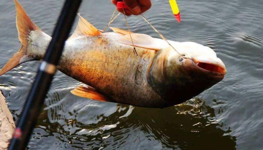 穿越火线刷经验外挂（找什么样的单位比较好）