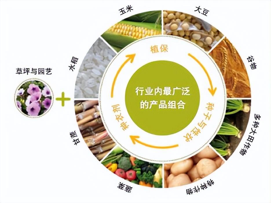 st远东,买股票是不是只要肯等就不会吃亏