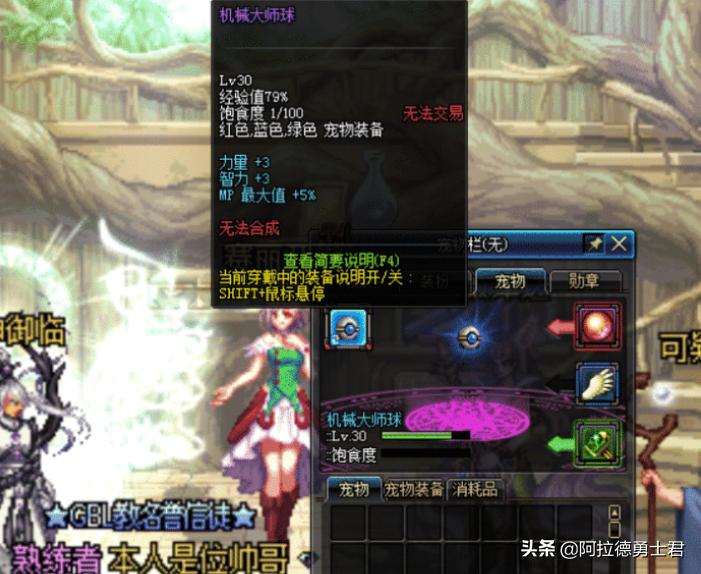 dnf宠物进化,DNF宠物贝雷斯多少级进化