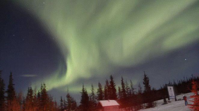 极光世界新手卡领取,有没有什么生存类的游戏