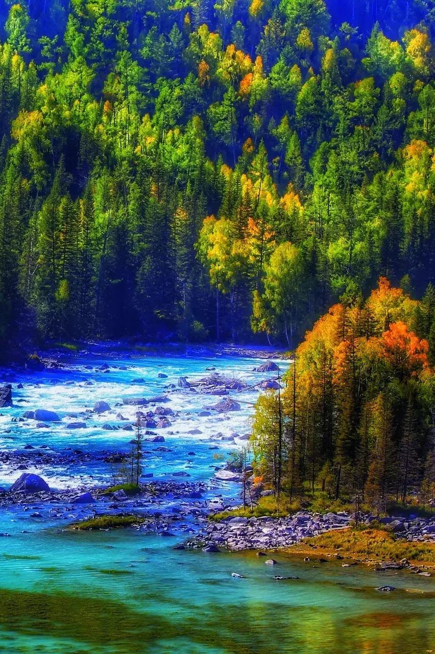 最接近天堂的地方mv,你的室友有哪些婊事