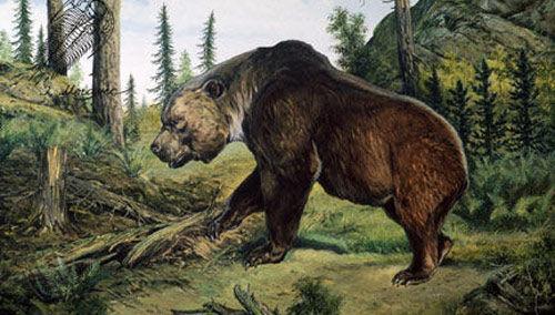 英雄联盟凛冬之怒,英雄联盟所有的英雄名字