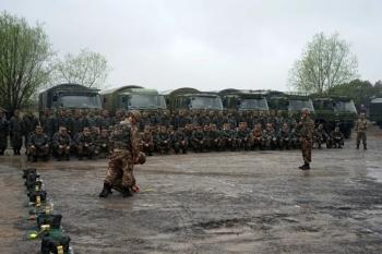 东部战区在哪(qd开头的是什么牌照)