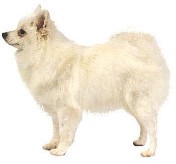 遗迹手镯,星之海洋6隐藏迷宫试炼遗迹攻略