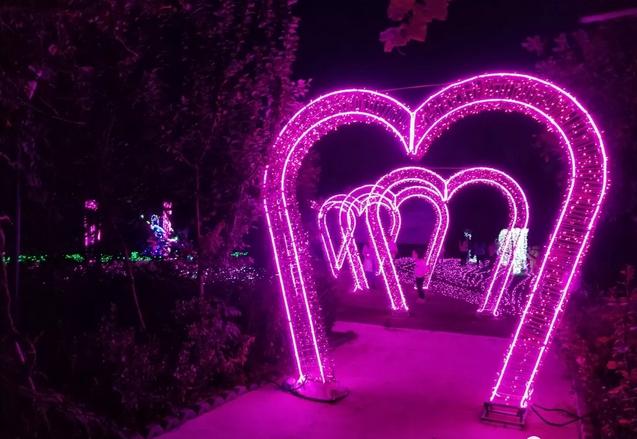 dnf璀璨玫瑰,赛琳娜成就