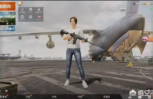 和平精英辅助软件免费(网传和平精英游戏里的巡查团有2500名狼人玩家)