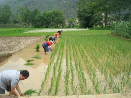财达证券委托下单,天猫超市d速是什么快递