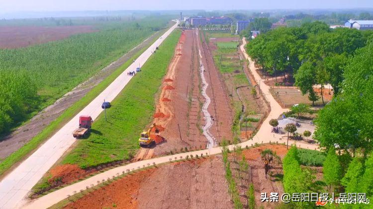 湿地僵尸,能否抵抗得住燃烧军团