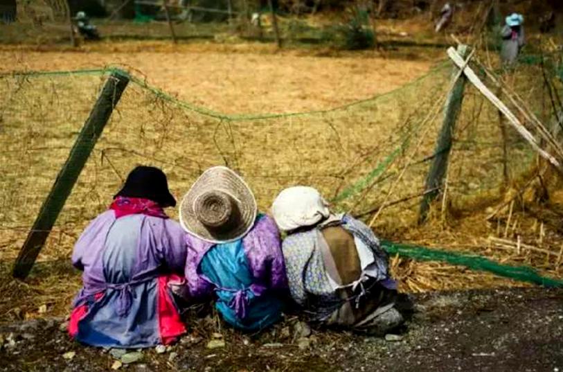 dnf70级人偶,公仔是什么意思