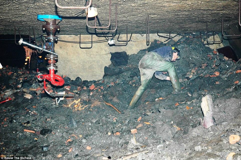 远古宝藏的线索,饥荒远古犀牛掉落的宝箱中有什么好一些