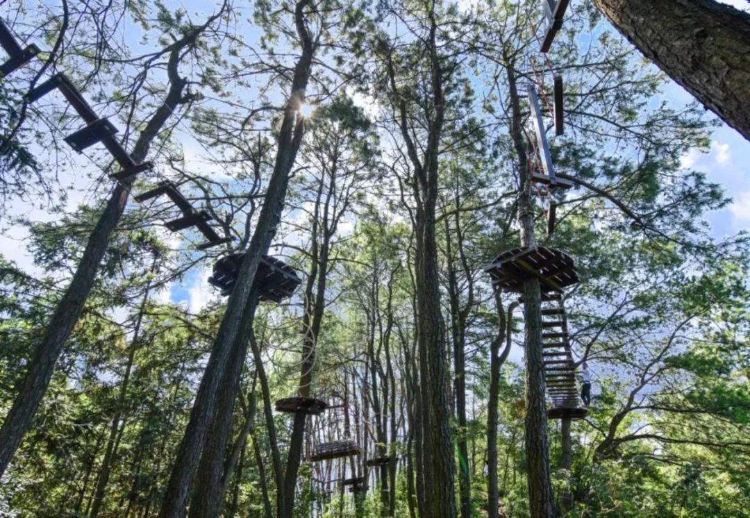 童话套, *** 小说里有哪些令人拍案叫绝的「智障桥段」