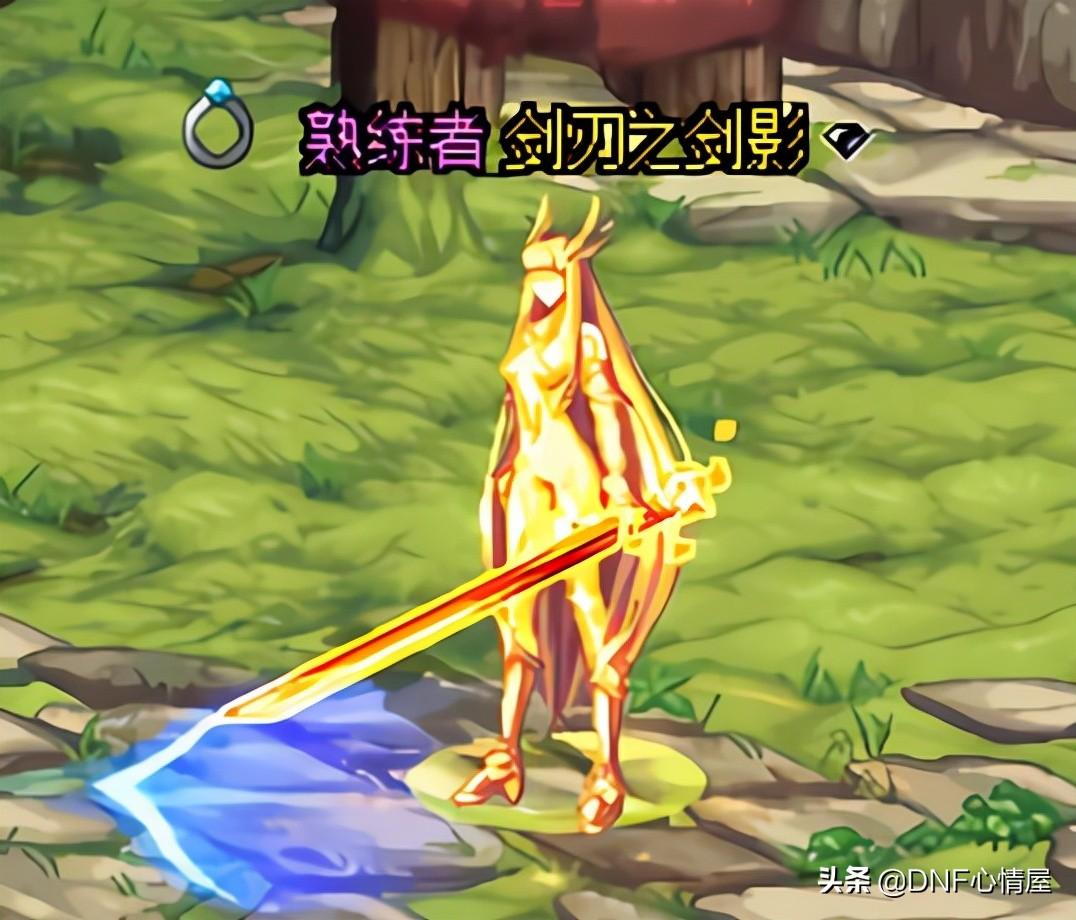 dnf土豪职业（DNF有哪些花金币能买到的宠物）