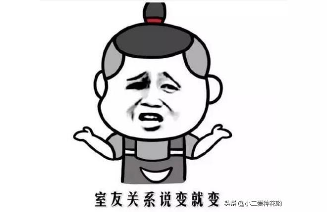 真野猪boss怎么打,泰拉瑞亚猪鲨坐骑攻略