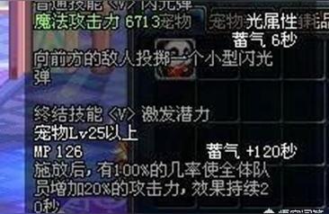 dnf新宠物(能取代白兔子成为奶爸新宠吗)