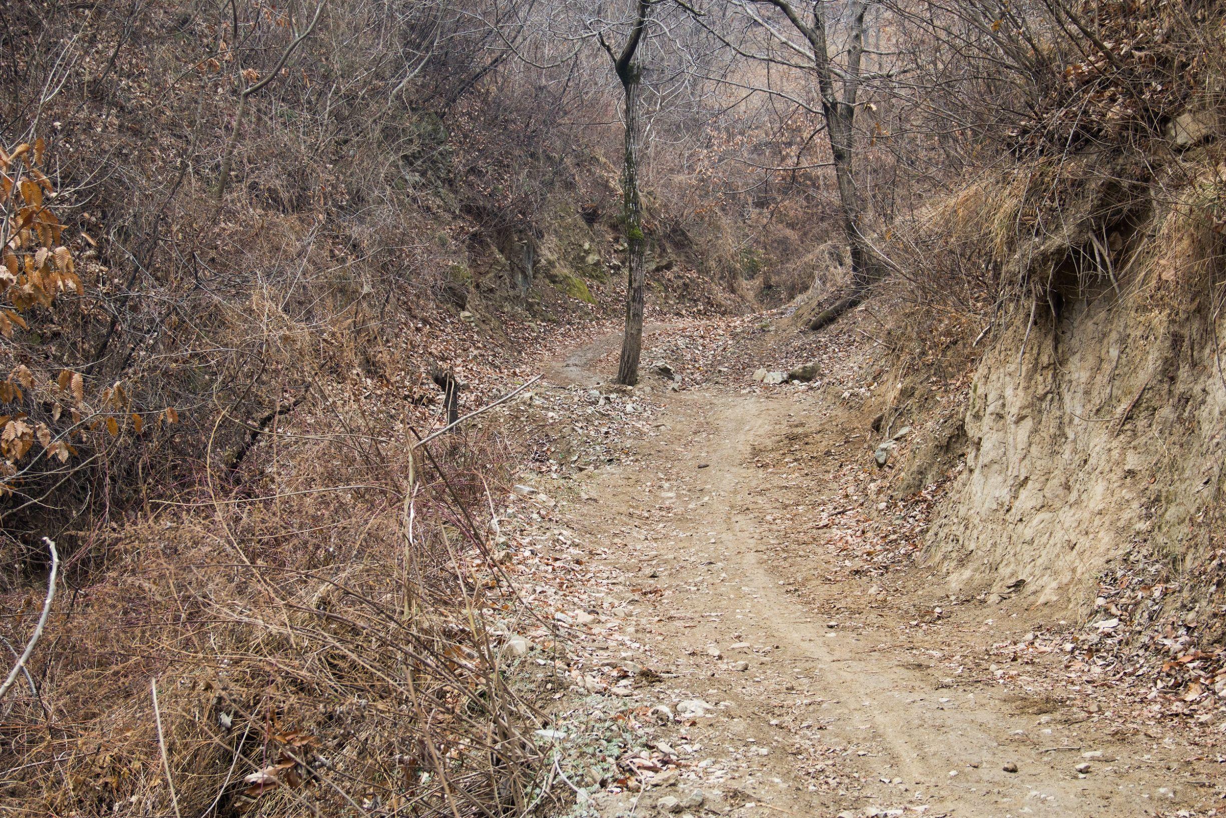 寂静村怎么跳（新寂静村跳围墙按什么键）