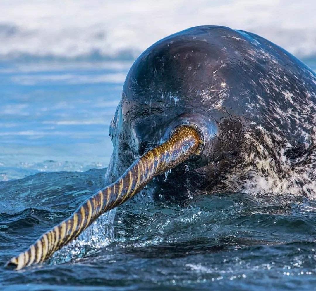 攻击类型转换,王者荣耀法术吸收是什么意思