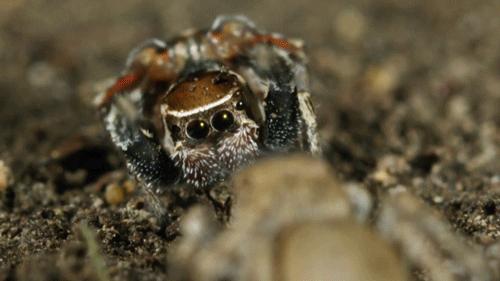 穿越火线太空步（cf太空步怎么玩或连跳）