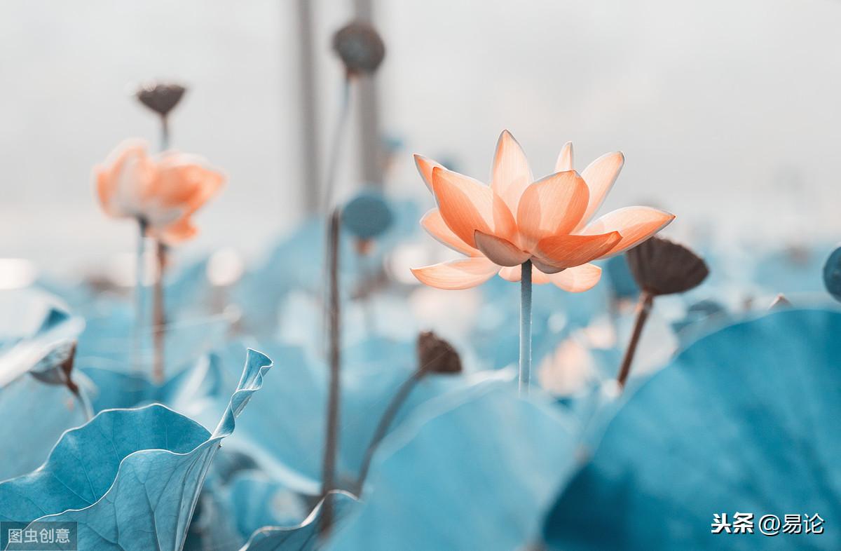 上上策股票策略平台,普京在索契会见巴沙尔并祝贺反恐战争取得成功