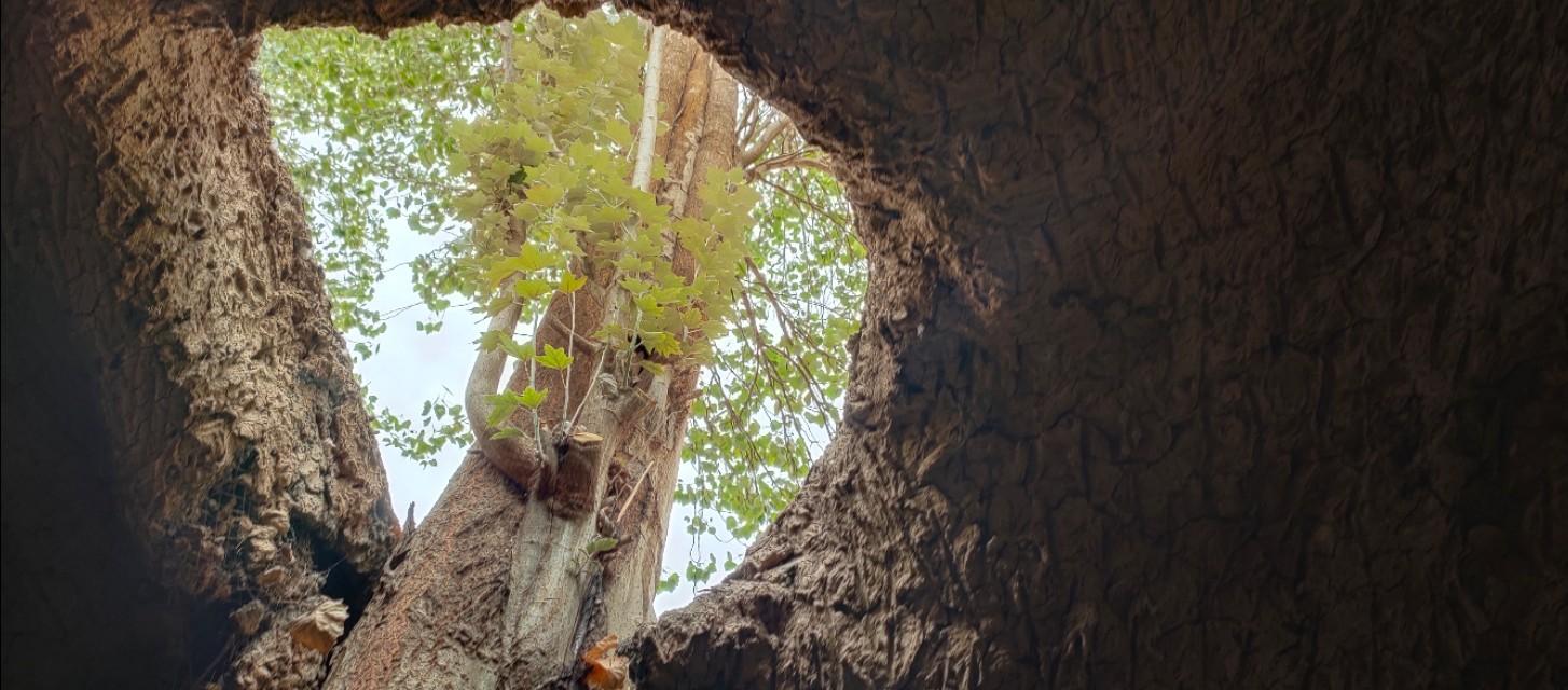 dnf生命之泉怎么获得,拉姆达的宝物