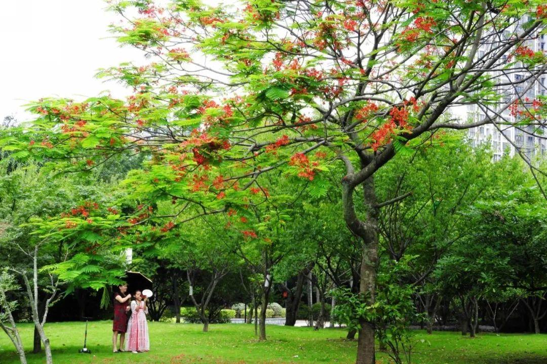 dnf凤凰印象,最残酷的酷刑有什么