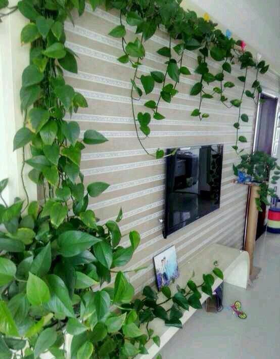 dnf卡片罐子,DNF战令模式疑似出现BUG