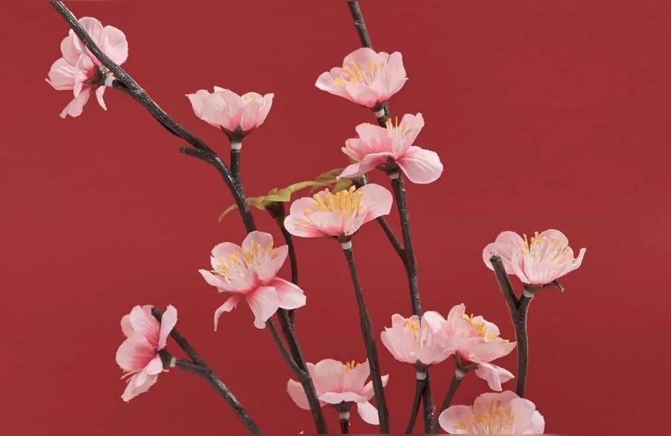 dnf辅助yy,yy辅助器怎么下载