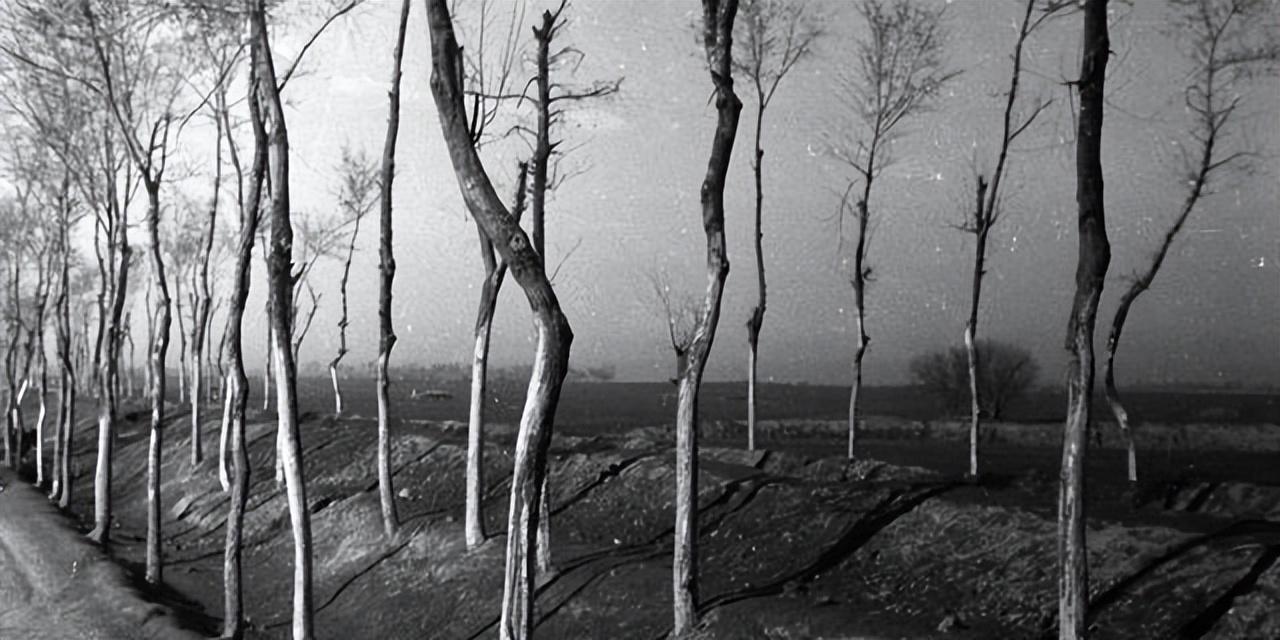 挤频器,2封十年怎么解