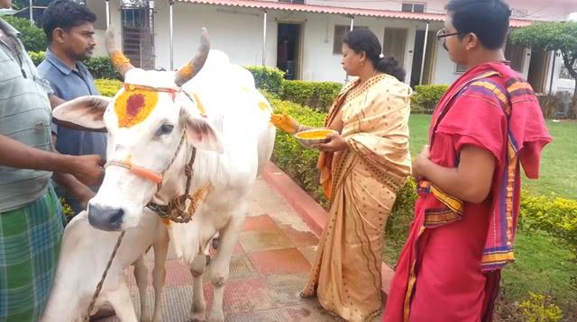 dnf神圣祝福药水,奶块t5神圣药水稳定配方