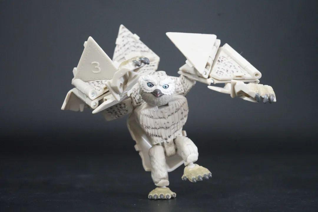 dnf摇骰子,DNF游戏中有哪些让人无力吐槽的装备名字