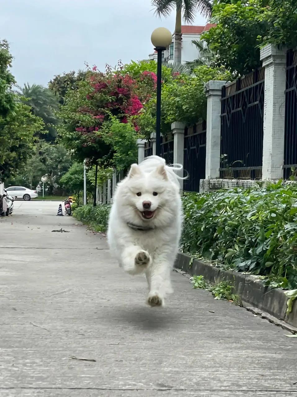 英雄联盟 新手礼包,原神萌新玩家怎么领取新人礼包