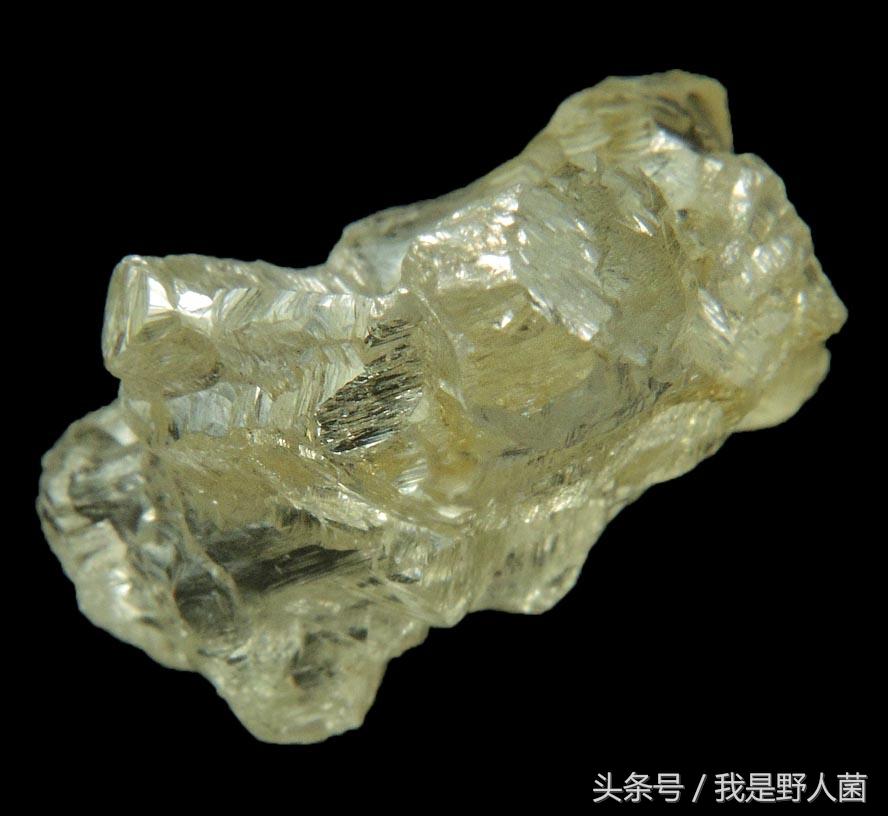 金刚石碎片,犬夜叉铁碎牙进化顺序